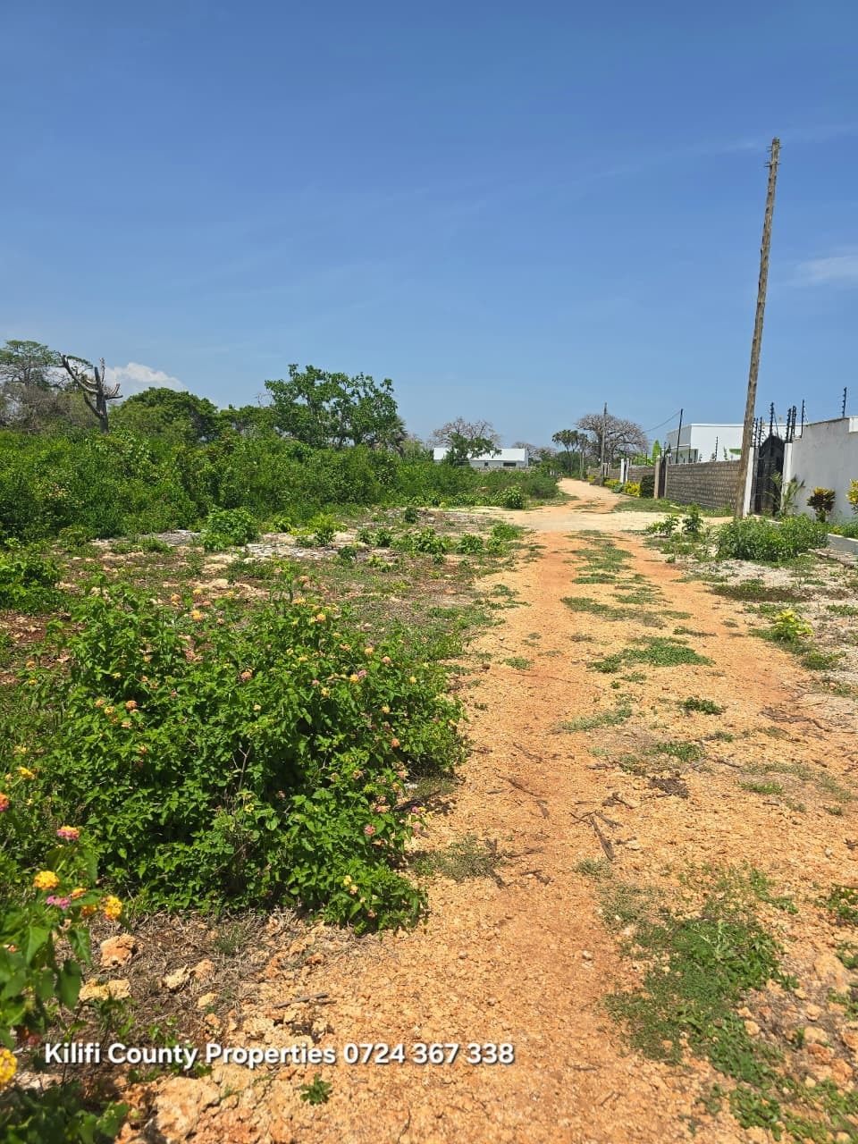 First-Time Buyer Guide: Coastal Plots
